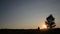 Couple stay in the grass field at sunset