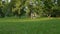 The couple stops and gets off the tandem bike to walk on the grass in the park