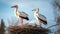 Couple of storks in the nest. Generative AI.