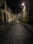 A couple strolls in the distance down a cobbled Paris street at night