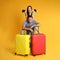 Couple with suitcases and passports for summer trip on yellow background. Vacation travel