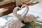 Couple swans towels