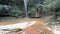 Couple swimming into multicolored natural pool with scenic waterfall in the rainforest of Lambir Hills National Park, Borneo