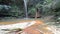 Couple swimming into multicolored natural pool with scenic waterfall in the rainforest of Lambir Hills National Park, Borneo