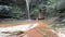 Couple swimming into multicolored natural pool with scenic waterfall in the rainforest of Lambir Hills National Park, Borneo