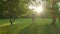 A couple on a tandem bike rides at sunset through the park between the trees