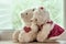 Couple teddy bears in love\'s embrace