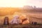 Couple of teddy bears sits back on fallen autumn leaves on top of a hill and looking at the city on sunlight