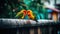 Couple of Tiny Birds on a Tree Branch