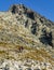 A couple of tourists reading in the guidebook the description of climbing the Lomnica peak