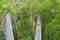 Couple tourists walk along one of treetops walkway in Great Otway Flyway Adventure