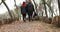 Couple travelers holding hands walk in the wood,