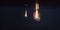 Couple vintage glowing light bulbs on dark background