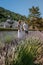 Couple visit the old town of Gordes Provence,Blooming purple lavender fields at Senanque monastery, Provence, southern