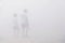 Couple walk fog