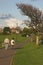 Couple walking on coastal path