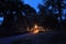 A couple walking in a dark and scary Chicago city park at night.