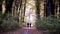 Couple walking with dog in park. Autumn forest. Forest path between trees with yellow leaves. Sun rays break through branches.