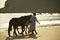 A couple walking horses on beach