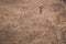 Couple walking on the sand in sunny day. view from above of a pair of tourists. aerial view. copy space