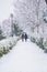 Couple walking in a snowy park in Madrid, Spain in 2021