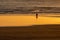 Couple walking their dog on the beach