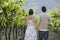 Couple Walking In Vineyard
