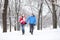 Couple walking in winter forest