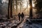 Couple walking in winter forest at sunrise. Man and woman walking in winter forest, Best agers enjoying a winter walk, snowy