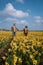 Couple walking in yellow flower bed , men and woman in yellow daffodil flowers during Spring in the Netherlands Lisse