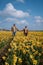 Couple walking in yellow flower bed , men and woman in yellow daffodil flowers during Spring in the Netherlands Lisse