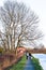 A couple walks their pet dogs along a canal in England