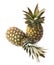 Couple of whole pineapples isolated over white background