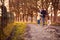 Couple With Woman With Prosthetic Hand Walking Pet Dog Through Winter Or Autumn Countryside