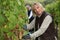 Couple working in their vineyard