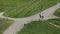 A couple of young people and a dog are walking along the road near the vineyards. View of young vineyards and green