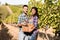 couple of young winemakers picking bunches of grapes in the vineyard