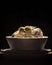 Couples of babies homing pigeon in breeding bowl