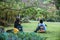 Couples travel nature and sitting reading books under the tree pink sakura flower