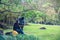 Couples travel nature and sitting reading books under the tree pink sakura flower