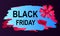 Coupon of Big Discount on Black Friday Vector