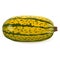 Courge Spaghetti winter Squash