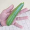 Courgette or courgette is a species of the Cucurbitaceae family whose fruits are used immature. It is an annual plant with a flexi