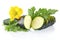 Courgette cut into slices with flower and leaves on white