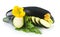 Courgettes cut into slices with flower and leaf on white