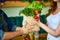 Courier service worker delivering fresh food, giving shopping bag to a happy woman client on the kitchen at home. Online grocery