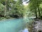 The course of the river Kupa directly below the mountain karst spring - Razloge, Croatia /Tok rijeke Kupe kod izvora