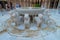 Court and Fountain of Lions in Nasrid Palaces, Alhambra, Granada