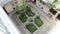 Court yard-well. A beautiful patio inside the old house in the form of a well. Interior of yard , The inner courtyard of