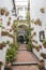 Courtyard decorated with geraniums, Cordoba, Spain